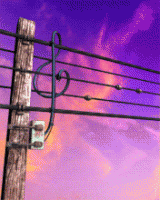 /album/bakker-csajok/street-style-gif/